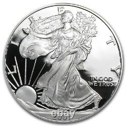 2001-W 1 oz Proof Silver American Eagle (withBox & COA) SKU #1057