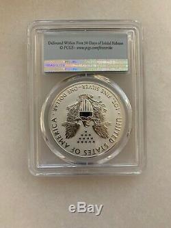 2019-S Silver Eagle Enhanced Reverse Proof Coin PCGS PR70 First Strike Flag