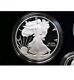 2020 Limited Edition Silver Proof Set US Mint 8 Coins American Silver Eagle