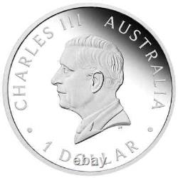 2024 Australian Swan 1oz Silver Proof Coin