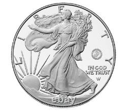 2025 Marine Corps 250th Anniversary Silver Proof Coin 1oz American Eagle PRESALE