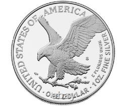 250th Anniversary US Navy American Eagle One Ounce Silver Proof Coin In Hand