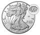 End of World War II 75th Anniversary American Eagle Silver Proof Coin In Hand