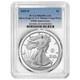 Presale 2025-P Proof $1 American Silver Eagle Marine Corps Privy PCGS