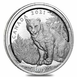 Sale Price 2021 Canada 3.4 oz Multilayered Cougar Proof Silver Coin. 9999 Fine