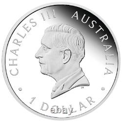 THE PERTH MINT'S 125TH ANNIVERSARY 2024 1oz SILVER PROOF $1 COIN